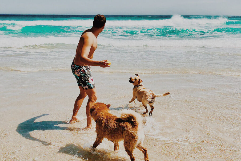 Korlátlan kutyastrandolásért harcol a spanyolországi PACMA állatvédő szervezet