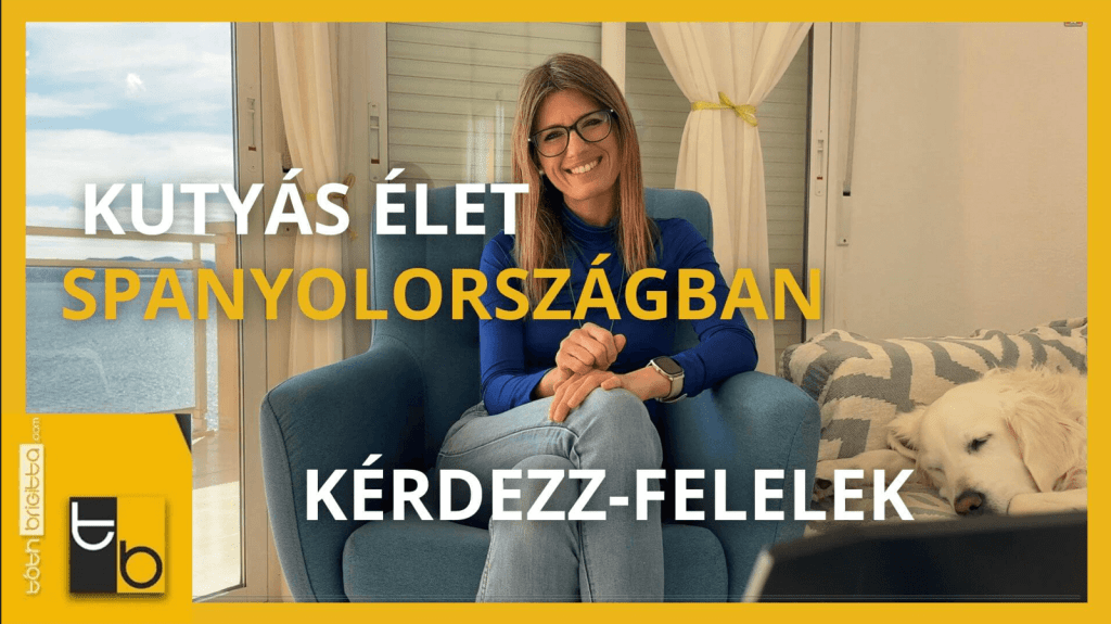 Kutyatartás Spanyolországban – Állatorvos, kutyafelügyelet, örökbefogadás | Kérdezz-felelek 7. rész